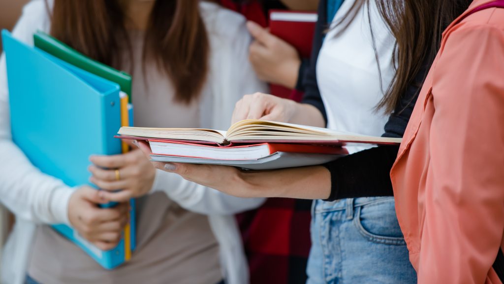 Recupero anni scolastici a Cremona